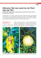 Alternaria: Wer war zuerst da, der Fleck oder der Pilz?