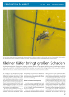 Kleiner Käfer bringt großen Schaden