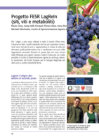 Progetto FESR LagReIn (siti, viti e metaboliti)