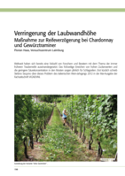 Verringerung der Laubwandhöhe - Maßnahme zur Reifeverzögerung bei Chardonnay und Gewürztraminer