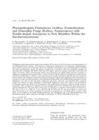 Phytopathogenic filamentous (Ashbya Eremothecium) and dimorphic fungi (Holleya, Nematospora) with needle-shaped ascospores as new members within the Saccharomycetaceae