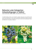 Rebsorten unter biologischen Anbaubedingungen in Südtirol