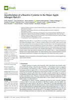 Ascorbylation of a reactive cysteine in the major apple allergen Mal d 1