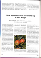 Prime esperienze con la varietà Fuji in Alto Adige