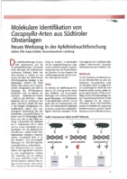 Molekulare Identifikation von Cacopsylla-Arten aus Südtiroler Obstanlagen