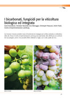 I bicarbonati, fungicidi per la viticoltura biologica ed integrata