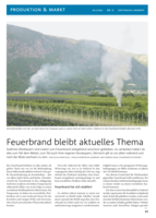 Der Feuerbrand bleibt in Südtirol ein aktuelles Thema