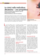 Le cimici nella melicoltura altoatesina - una prospettiva