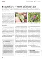 Ecoorchard – mehr Biodiversität