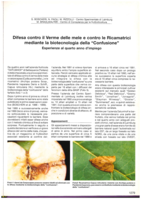 Difesa contro il verme delle mele e contro le ricamatrici mediante la biotecnologia della "Confusione"