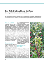 Der Apfeltriebsucht auf der Spur