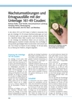 Wachstumsstörungen und Ertragsausfälle mit der Unterlage 161-49 Couderc
