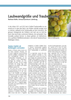 Laubwandgröße und Traubenwelke
