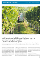 Widerstandsfähige Rebsorten - heute und morgen