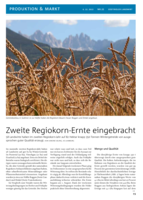 2. Regiokorn-Ernte eingebracht