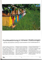 Fruchtausdünnung in höheren Obstbaulagen