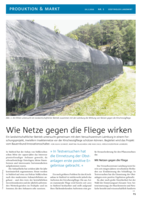 Wie Netze gegen die Fliege wirken