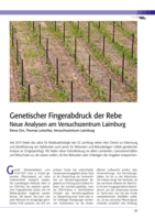 Genetischer Fingerabdruck der Rebe. Neue Analysen am Versuchszentrum Laimburg