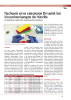 Nachweis einer saisonalen Dynamik bei Viruserkrankungen der Kirsche