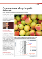 Come mantenere a lungo la qualità delle mele