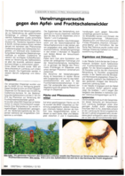 Verwirrungsversuche gegen den Apfel- und Fruchtschalenwickler