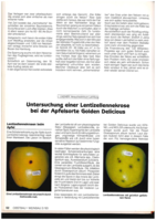 Untersuchung einer Lentizellennekrose bei der Apfelsorte Golden Delicious