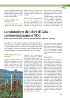 La valutazione dei cloni di Gala - commercializzazione VOG