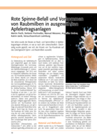 Rote Spinne-Befall und Vorkommen von Raubmilben in ausgewählten Apfelertragsanlagen