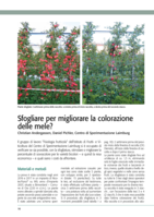 Sfogliare per migliorare la colorazione delle mele?