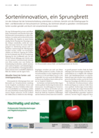 Sorteninnovation, ein Sprungbrett