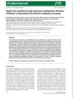 Apple fruit superficial scald resistance mediated by ethylene inhibition is associated with diverse metabolic processes
