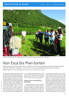Von Esca bis Piwi-Sorten