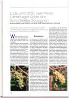 Lb 36 und Lb 50, zwei neue Laimburger Klone der Sorte Weißer Sauvignon