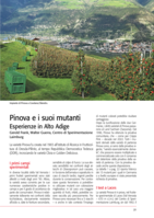 Pinova e i suoi mutanti Esperienze in Alto Adige