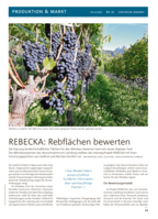 REBECKA: Rebflächen bewerten
