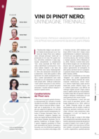 Vini di Pinot Nero: un`indagie triennale. Descrizione chimica e valutazione organolettica di vini di Pinot nero provenienti da diverse parti d'Italia