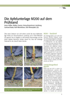 Die Apfelunterlage M200 auf dem  Prüfstand