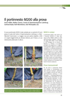 Il portinnesto M200 alla prova