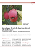 Lo sviluppo di varietà di melo resistenti alla ticchiolatura