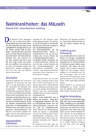 Weinkrankheiten: das Mäuseln