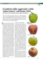 Il problema della rugginosità e della ”patina bianca“ nell‘annata 2008