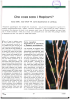 Che cosa sono i fitoplasmi