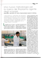 Una nuova metodologia per la ricerca del fitoplasma agente degli scopazzi