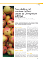 Prove di difesa dal marciume dei frutti causato da Gloeosporium su Pinova