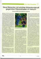 Neue Rebsorten mit erhöhter Widerstandsfähigkeit gegenüber Pilzkrankheiten im Versuch