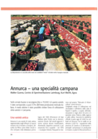 Annurca - una specialità campana