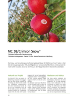 MC 38/Crimson Snow®