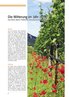 Die Witterung im Jahr 2019