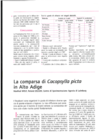 La comparsa di cacopsylla picta in Alto Adige