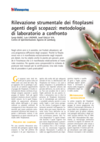 Rilevazione strumentale dei fitoplasmi agenti degli scopazzi: metodologie di laboratorio a confronto
